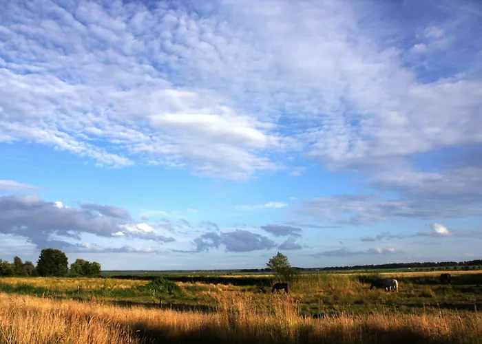 Boddenzauber 02 Apartman Wieck